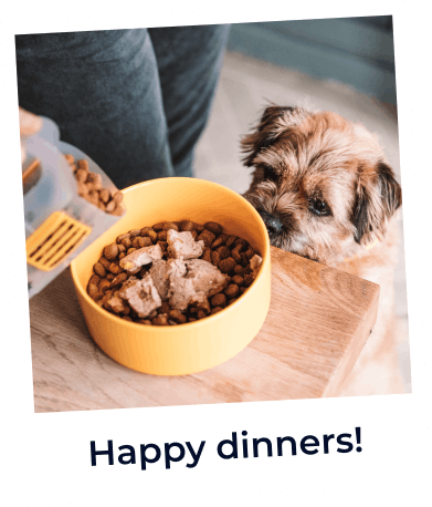 Dog food delivered hot sale to your door